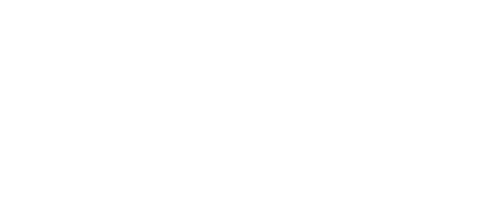 Bold Vision Logo